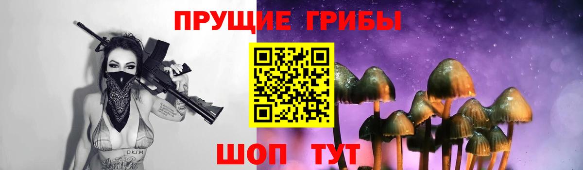 Псилоцибиновые грибы мухоморы Белгород